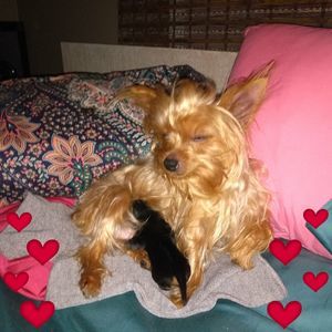 Meet your Posher, Lucia